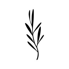 Obraz premium Minimalist branch with leaves icon
