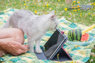 Fototapete bei efototapeten.de bestellen   