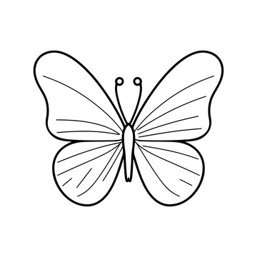 butterfly silhouette illustration, butterfly icon.