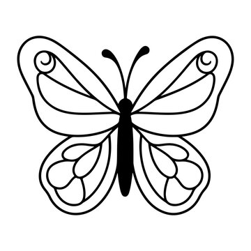 butterfly silhouette illustration, butterfly icon.