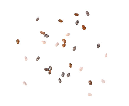 chia seed on transparent png