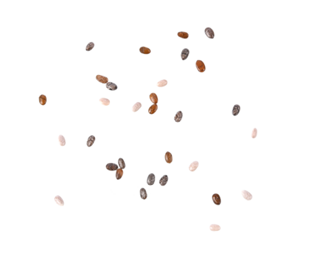 chia seed on transparent png