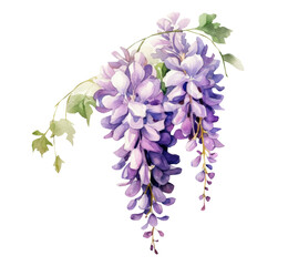 Watercolor wisteria flower, clipart, Generative AI, png image.