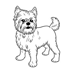 Affenpinscher, hand drawn cartoon character, dog icon.