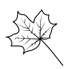 fall maple leaf line art autumn illustration