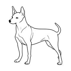 Basenji, hand drawn cartoon character, dog icon.