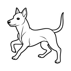 Basenji, hand drawn cartoon character, dog icon.