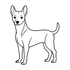 Basenji, hand drawn cartoon character, dog icon.