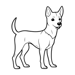 Basenji, hand drawn cartoon character, dog icon.
