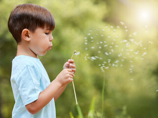 Nature, meadow and child blowing dandelion for wish, hope and growth in field with flowers. Spring, childhood and profile of young boy with wildflower in park for adventure, freedom and happiness