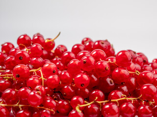 Ripe red currant on a light background. Currant closeup