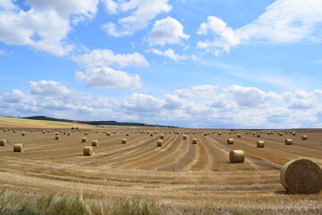 Straw bales on Fields in Summer