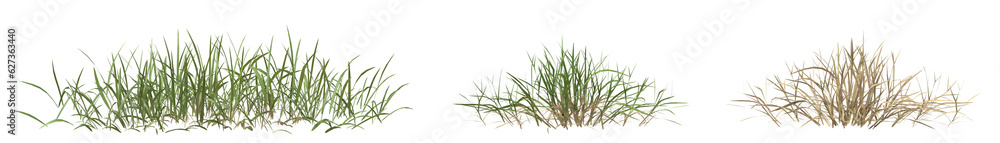 Poster set of dry and green grass with isolated on transparent background. png file, 3d rendering illustrat