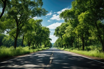 Obraz premium View of road through green forest. Generative AI