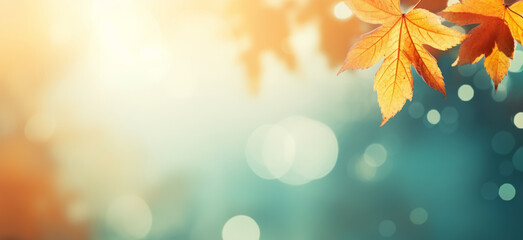 Abstract autumn nature background, with leaves, glowing sun and warm seasonal colors
