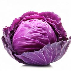 purple cabbage isolated on white