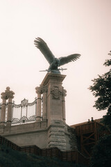 Fototapeta premium statue of an eagle
