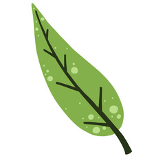 Leaf