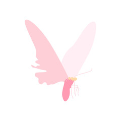 Elegant butterfly. Hand drawn vector illustration.