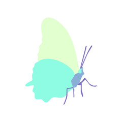 Elegant butterfly. Hand drawn vector illustration.