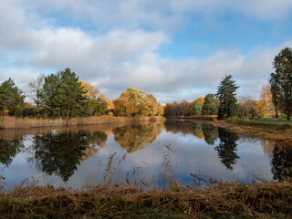Beautiful landscape of autumn scenery with big lake, spur trees, trees and vegetation in yellow,...