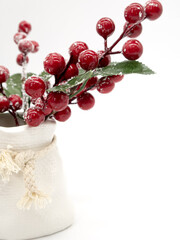 New Year's still life, a vase with red berries in the snow on a white background, a place for text