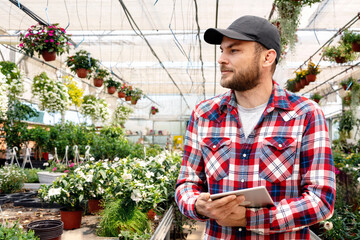 Plant and flowers seedling production, man farm worker using digital tablet in plant nursery.