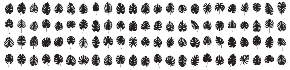 Fototapeta na wymiar Set of leaf silhouette elements. Collection of monstera silhouettes on isolated background. Vector illustration