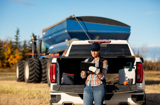 Farmer leaning on tailgate of truck using a tablet to monitor fall canola harvest, Alberta, Canada