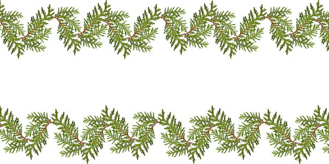 Plant pattern, border of green thuja branches on transparent background.