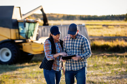 Farmers using computer while combine offloads canola into semi-trailer grain truck, Alberta, Canada