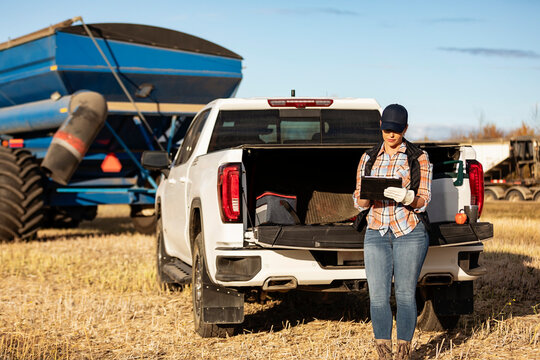 Farmer leaning on tailgate of truck using a tablet to monitor fall canola harvest, Alberta, Canada