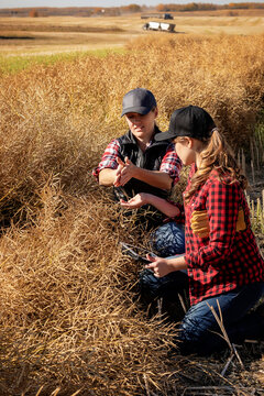 A woman farmer sitting in the fields teaching her apprentice about modern farming techniques for canola crops using wireless technologies and agricultural software; Alcomdale, Alberta, Canada