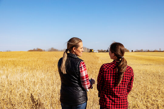 A view from behind of a mature farm woman standing in a field working together with a young woman at harvest time, while a combine is working in the background; Alcomdale, Alberta, Canada