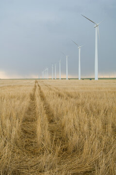 Wind turbines line the edge of a farm field in southwest Kansas; Liberal, Kansas, United States of America