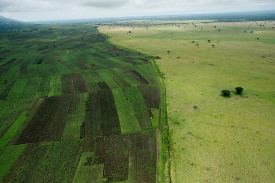 Crops extend to the boundary of Queen Elizabeth National Park in Uganda; Uganda
