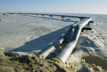Stretch of the Trans-Alaskan Pipeline; Prudhoe Bay, Alaska, United States of America
