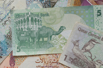 Qatar currency; Studio