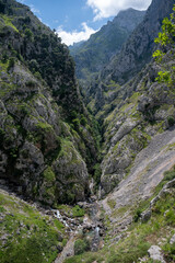 Beautiful views of Picos de Europa