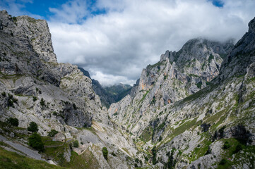 Fototapeta na wymiar Beautiful views of Picos de Europa