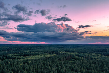 Pink sunset over the forest from above