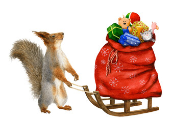 A funny anthropomorphic squirrel pulling a sled with a huge bag of Christmas gifts hand drawn in watercolor. Watercolor Christmas illustration. Isolated image