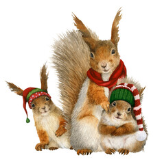 A funny anthropomorphic mother squirrel with a red scarf and 2 anthropomorphic baby squirrels with caps hand drawn in watercolor. Watercolor Christmas illustration. Isolated image - obrazy, fototapety, plakaty