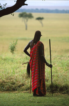 Masai warrior with a spear looking out over grasslands in Masai Mara National Reserve, Kenya; Kenya