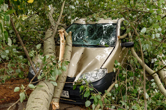 Novi Sad, Serbia - July 20, 2023: Car trapped under fallen tree after wind storm. Car Insurance