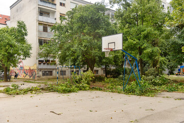Fototapeta na wymiar Novi Sad, Serbia - July 20, 2023: The storm broke the trees. Deferred trees after the storm