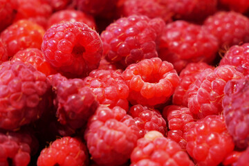 Raspberries. Fresh juicy raspberries bright background. Sweet raspberry