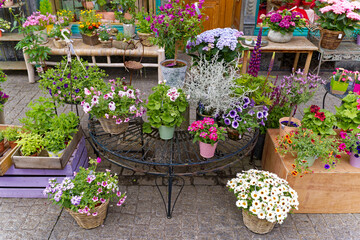 Colorful flowers in front of flower shop at the old town of Swiss City of Winterthur on a cloudy spring day. Photo taken May 17th, 2023, Winterthur, Switzerland.