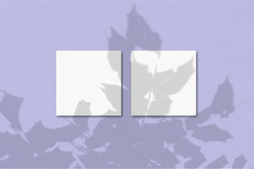 Natural light casts shadows from the plant on 2 square sheets of white textured paper lying on a violet textured background. Mockup