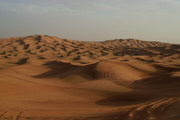 sand dunes in the desert